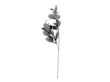 Load image into Gallery viewer, Faux Lambs Ear Spray