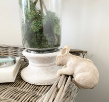 Load image into Gallery viewer, Mouse pot-hanger