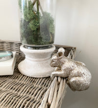 Load image into Gallery viewer, Mouse pot-hanger