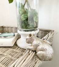 Load image into Gallery viewer, Mouse pot-hanger