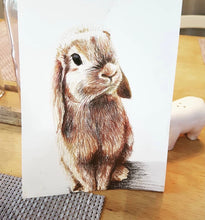 Load image into Gallery viewer, Country Cushions - Duck /Bunny Rabbit designs