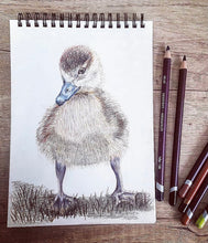 Load image into Gallery viewer, Country Cushions - Duck /Bunny Rabbit designs