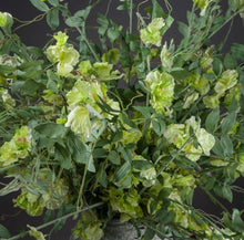 Load image into Gallery viewer, Faux Wisteria Stem