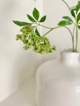 Load image into Gallery viewer, Faux Cow Parsley Stem - Ammi