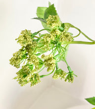 Load image into Gallery viewer, Faux Cow Parsley Stem - Ammi