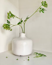 Load image into Gallery viewer, Faux Cow Parsley Stem - Ammi