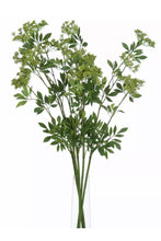 Load image into Gallery viewer, Faux Cow Parsley Stem - Ammi