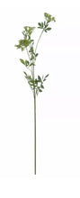 Load image into Gallery viewer, Faux Cow Parsley Stem - Ammi