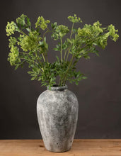 Load image into Gallery viewer, Faux Cow Parsley Stem - Ammi