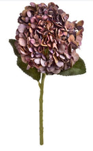 Load image into Gallery viewer, Autumn Coffee Hydrangea Stem