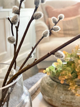 Load image into Gallery viewer, Pussy Willow Spray - Smokey Grey