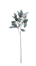 Load image into Gallery viewer, Seeded Eucalyptus Foliage
