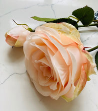 Load image into Gallery viewer, Rose Aria - Blush Stem