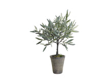 Load image into Gallery viewer, Artificial Olive Tree in ceramic pot
