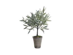 Artificial Olive Tree in ceramic pot