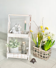 Load image into Gallery viewer, Rustic White Washed  Wooden  Shelf Display Ladder/Plant Stand
