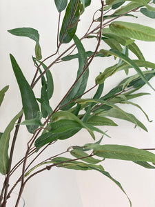 Artificial Long Leaf Eucalyptus Spray