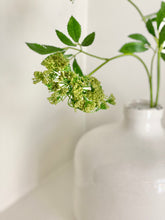 Load image into Gallery viewer, Faux Cow Parsley Stem - Ammi
