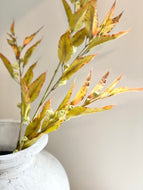 Silver Bell Eucalyptus stem