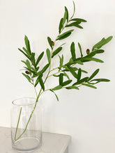 Load image into Gallery viewer, Faux Olive Berry Stem

