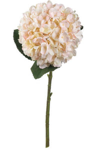Peachy White Hydrangea Stem