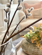 Pussy Willow Spray - Smokey Grey